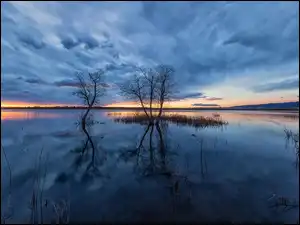 Chatfield Lake, Drzewa, Stany Zjednoczone, Jezioro, Kolorado, Park stanowy Chatfield, Zachód słońca