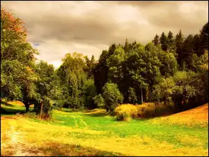 Chmury, Las, Łąka