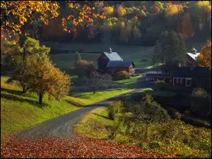 Droga, Jesień, Drzewa, Domy