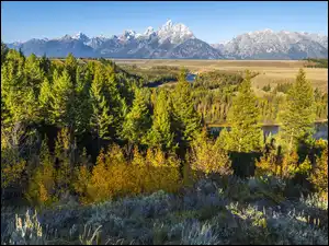 Rzeka Snake River, Park Narodowy Grand Teton, Las, Stan Wyoming, Góry, Drzewa, Stany Zjednoczone, Teton Range