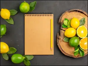 Cytrusy obok notatnika