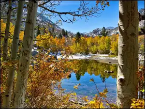 Stan Kalifornia, Stany Zjednoczone, Jezioro, Drzewa Jezioro, Park Narodowy Yosemite, Góry
