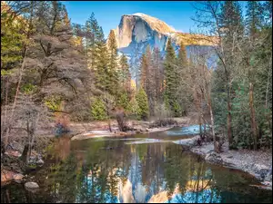 Kalifornia, Park Narodowy Yosemite, Drzewa, Stany Zjednoczone, Rzeka Merced River, Szczyt El Capitan, Góry Sierra Nevada