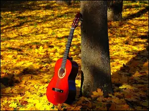 Jesienna gitara