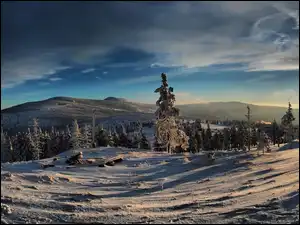 Las, Góry, Zima