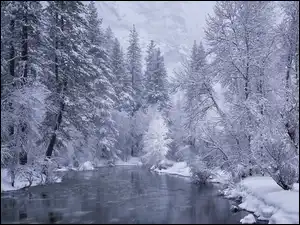 Drzewa, Czarno-białe, Rzeka, Zima, Śnieg
