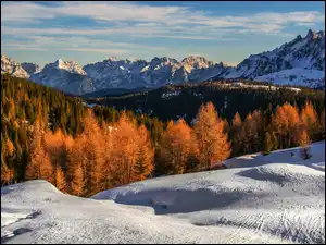 Zima, Pożółkłe, Włochy, Góry, Tyrol Południowy, Gmina Sexten, Drzewa