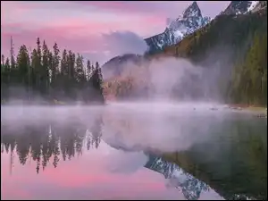 Stany Zjednoczone, Drzewa, Stan Wyoming, Mgła, Park Narodowy Grand Teton, Las, Jezioro, Góry, String Lake