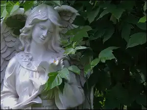 Krzew, Posąg, Figura, Anioł