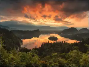 Drzewa, Wschód słońca, Mgła, Lasy, Wyspa Blejski Otok, Słowenia, Alpy Julijskie, Góry, Jezioro Bled, Chmury
