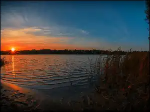 Trzciny, Jezioro, Zachód, Słońca