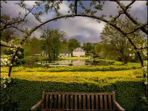 Ogród, Pergola, Domy, Ławka, Staw, Drzewa, Kwitnące