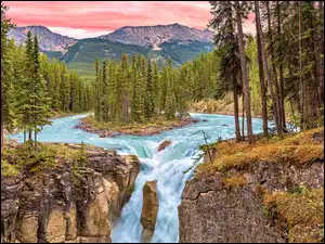 Wodospad Sunwapta Falls w Parku Narodowym Jasper w Kanadzie