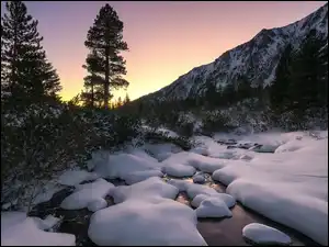 Góry, Słowacja, Drzewa, Śnieg, Tatry, Rzeka