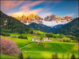 Dolina, Domy, Okwiecone, Lasy, Dolomity, Drzewo, Wieś, Santa Maddalena, Val di Funes, Drzewa, Góry, Wiosna, Włochy, Kościół