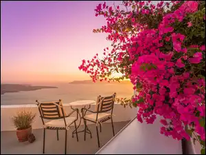 Santorini, Grecja, Krzesła, Bugenwilla, Taras, Kwiaty