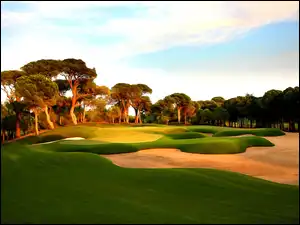 Drzewa, Łąka, Pole, Golfowe