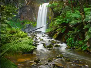 Australia, Hopetoun Falls, Stan Wiktoria, Rośliny, Paprocie, Park Narodowy Great Otway, Skały, Wodospad, Rzeka