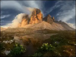 Dolomity, Tre Cime di Lavaredo, Włochy, Góry, Chmury, Kwiaty, Trawa