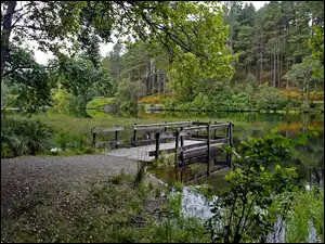 Pomost, Las, Rzeka