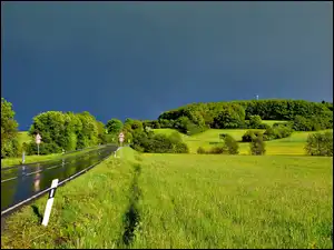 Lato, Mokra, Droga, Pola