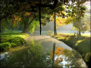 Park, Drzewa, Rzeka