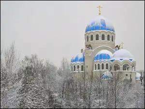 Zima, Drzewa, Kopuły, Cerkiew, Śnieg