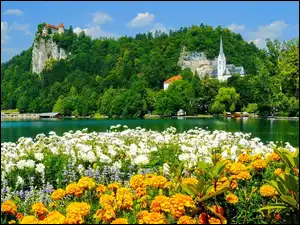 Zamek, Kośclół, Kwiaty, Słowenia, Jezioro, Bled