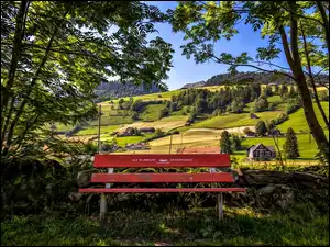 Drzewa, Łąka, Ławka, Wzgórza, Domek, Park