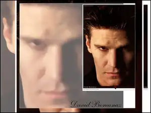 ciemne włosy, David Boreanaz