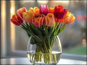 Tulipany, Tulipan, Kolorowe, Bukiet, Wazon Kwiat