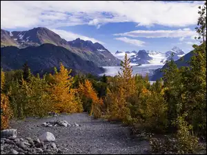 Droga, Jesień, Drzewa, Alaska, Góry, Kamienie, Stany Zjednoczone, Żółte