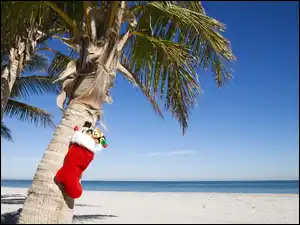Plaża, Palma, But, Mikołaja