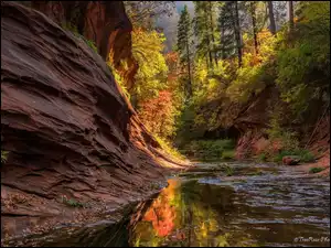 Drzewa, West Fork Oak Creek, Stany Zjednoczone, Rzeka, Sedona, Jesień, Skały, Arizona