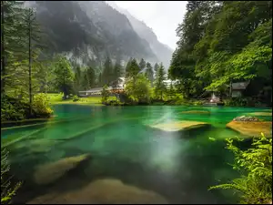 Kamienie, Szwajcaria, Góry, Las, Kanton Berno, Domy, Drzewa, Jezioro Blausee