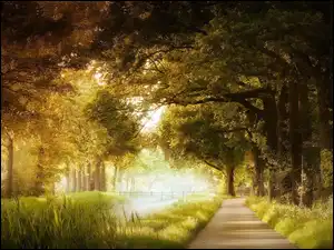 Poranek, Jesień, Mgła, Park, Drzewa