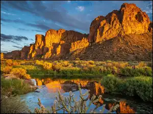 Skały, Rośliny, Stany Zjednoczone, Góry, Arizona, Salt River, Rzeka