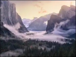 Park Narodowy Yosemite, Góry, Mgła, 
Kalifornia, Las, Yosemite Valley, Stany Zjednoczone, Opadająca