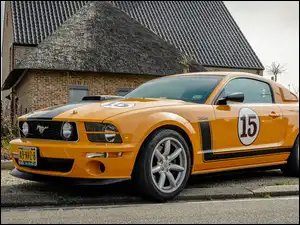 Saleen, Ford Mustang 302