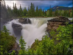 Świerki, Kanada, Góry, Wodospad Athabasca, Prowincja Alberta, Drzewa, Skały, Park Narodowy Jasper