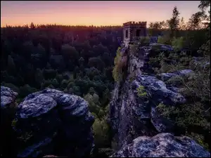 Drzewa, Punkt widokowy, Skały, Góry, Rośliny