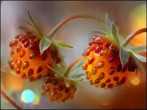 Grafika AI, Truskawki, Owoce, Pestki
